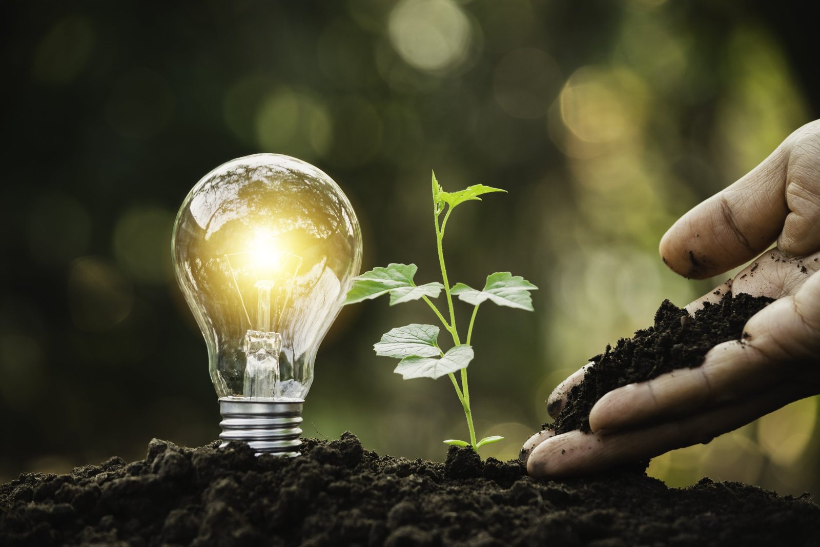 Environmental social and governance hand feed earth to lightbulb symbolising ESG